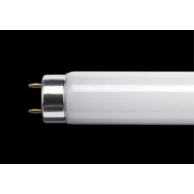 3ft 30w Flourescent Tube
