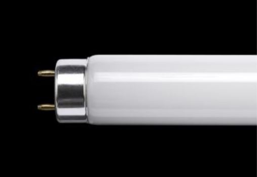 6ft 70w Flourescent Tube thumbnail image